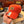 CWL Dad Hat