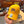 CWL Dad Hat
